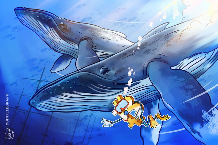 Bitcoin enters ‘new era’ as whales scoop up over 47K BTC during price pullback
